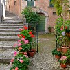 Vicolo del centro storico 1 - San Donato Val di Comino (Lazio)